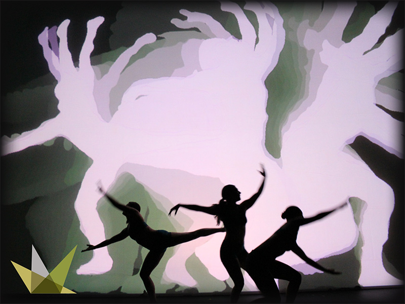 Catapult Shadow Dance Company