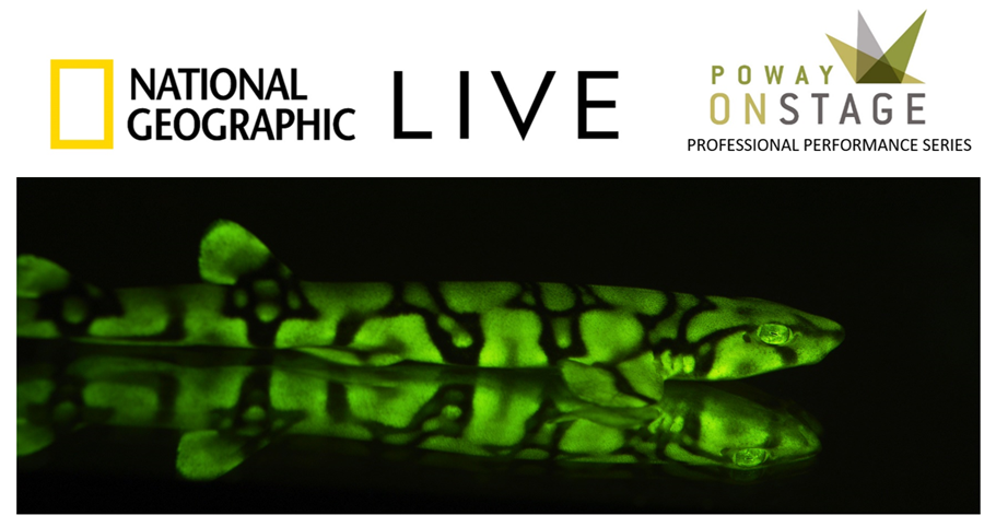 National Geographic Live: Mysterious Seas