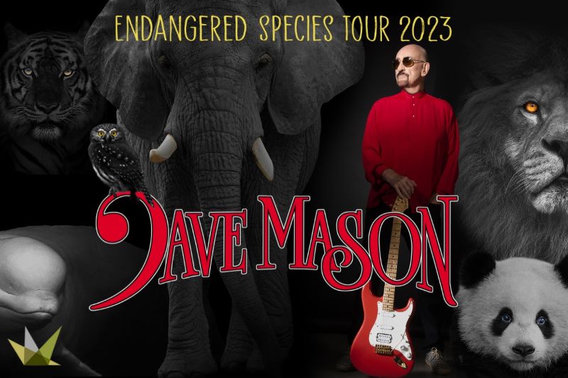 Dave Mason